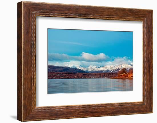 Nature’s Frost-Chuck Burdick-Framed Photographic Print