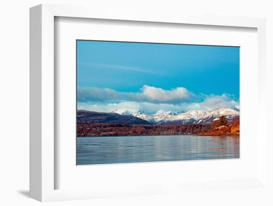 Nature’s Frost-Chuck Burdick-Framed Photographic Print