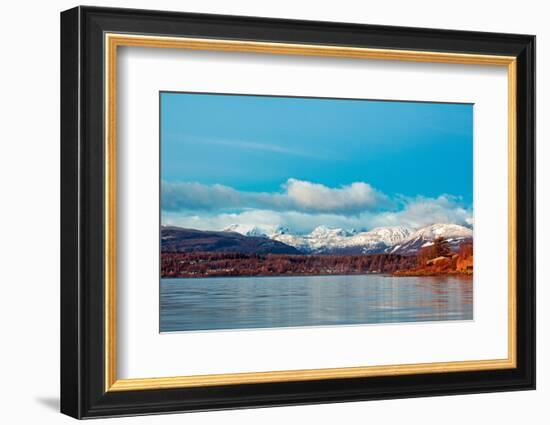 Nature’s Frost-Chuck Burdick-Framed Photographic Print