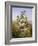 Nature's Glory-John Wainwright-Framed Giclee Print