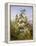 Nature's Glory-John Wainwright-Framed Premier Image Canvas