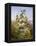 Nature's Glory-John Wainwright-Framed Premier Image Canvas