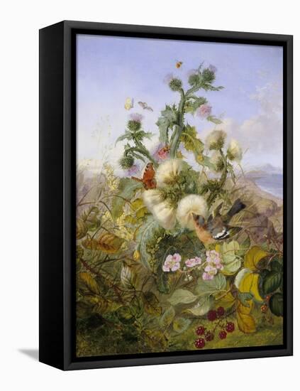 Nature's Glory-John Wainwright-Framed Premier Image Canvas