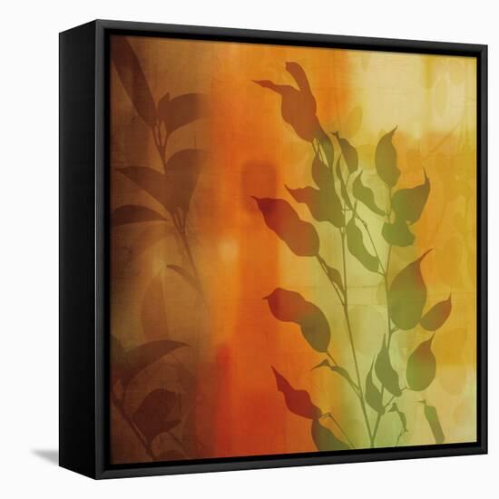 Nature^s Glow I-Chris Donovan-Framed Stretched Canvas