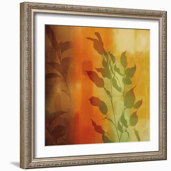 Nature^s Glow I-Chris Donovan-Framed Art Print