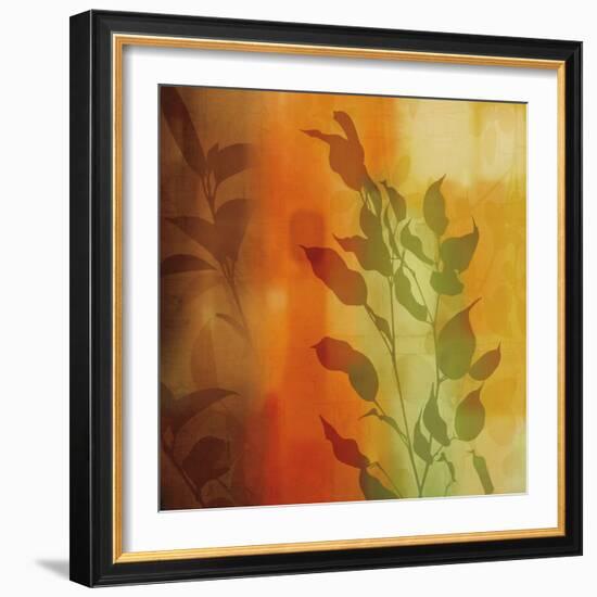 Nature^s Glow I-Chris Donovan-Framed Art Print