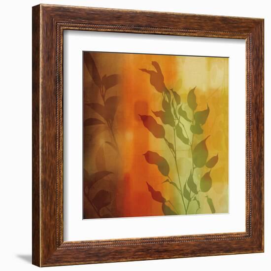 Nature^s Glow I-Chris Donovan-Framed Art Print