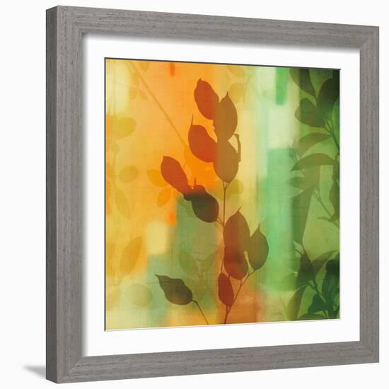 Nature^s Glow II-Chris Donovan-Framed Art Print