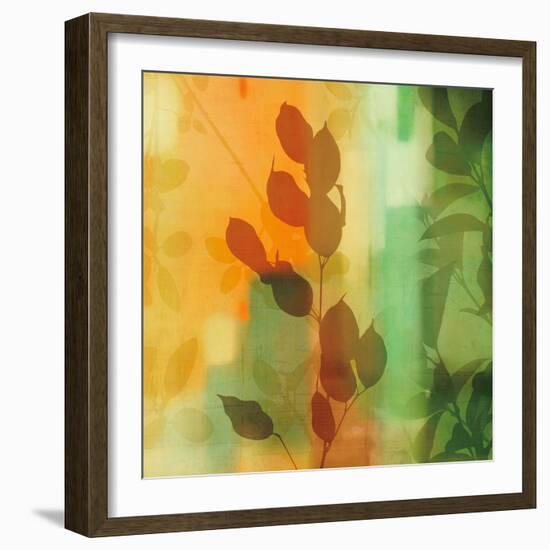 Nature^s Glow II-Chris Donovan-Framed Art Print