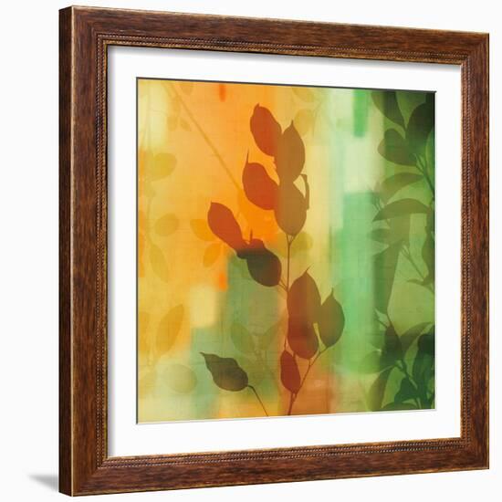 Nature^s Glow II-Chris Donovan-Framed Art Print