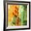 Nature^s Glow II-Chris Donovan-Framed Art Print