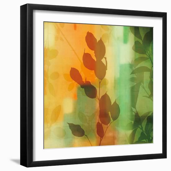 Nature^s Glow II-Chris Donovan-Framed Art Print