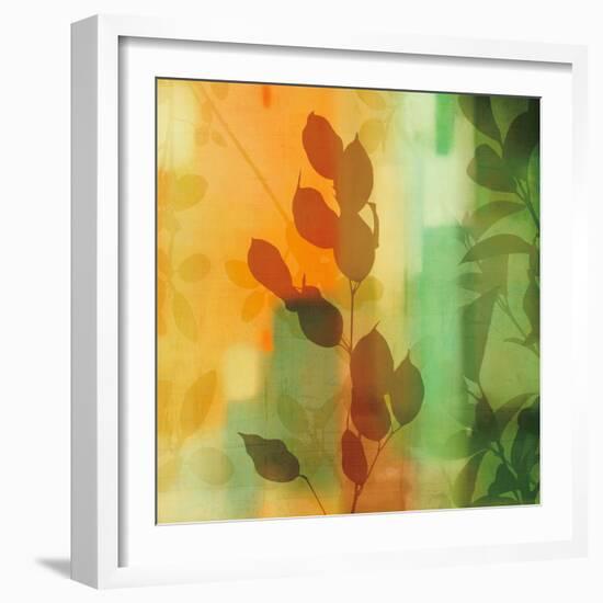 Nature^s Glow II-Chris Donovan-Framed Art Print