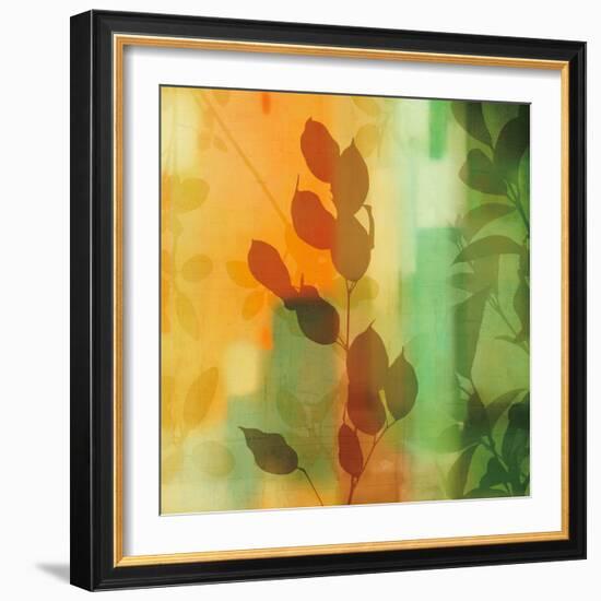 Nature^s Glow II-Chris Donovan-Framed Art Print