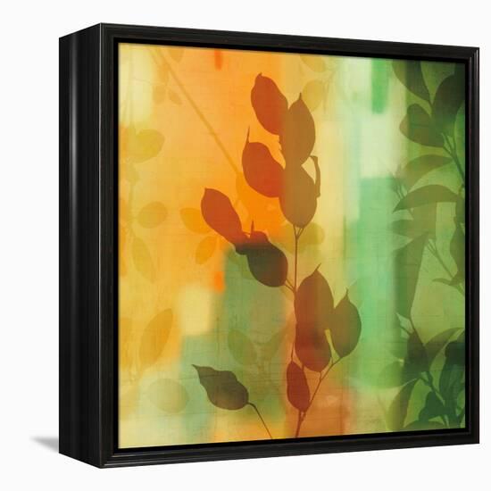 Nature^s Glow II-Chris Donovan-Framed Stretched Canvas