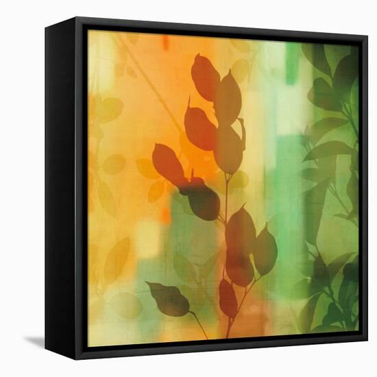 Nature^s Glow II-Chris Donovan-Framed Stretched Canvas