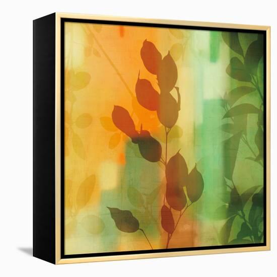 Nature^s Glow II-Chris Donovan-Framed Stretched Canvas