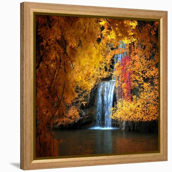 Nature's Gold-Philippe Sainte-Laudy-Framed Premier Image Canvas