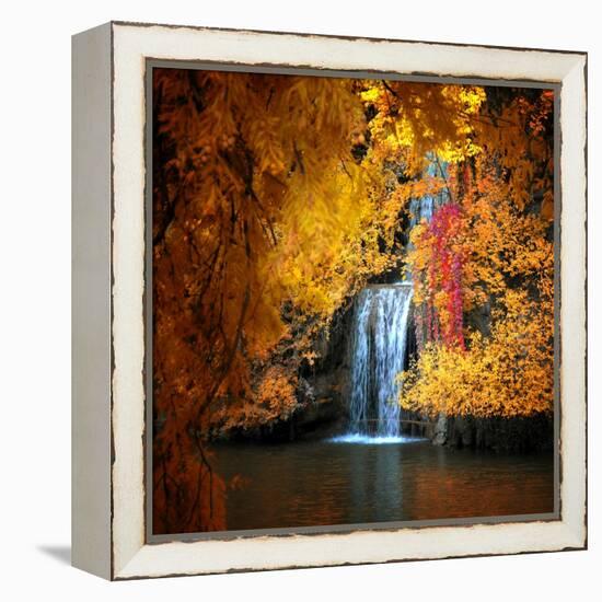 Nature's Gold-Philippe Sainte-Laudy-Framed Premier Image Canvas