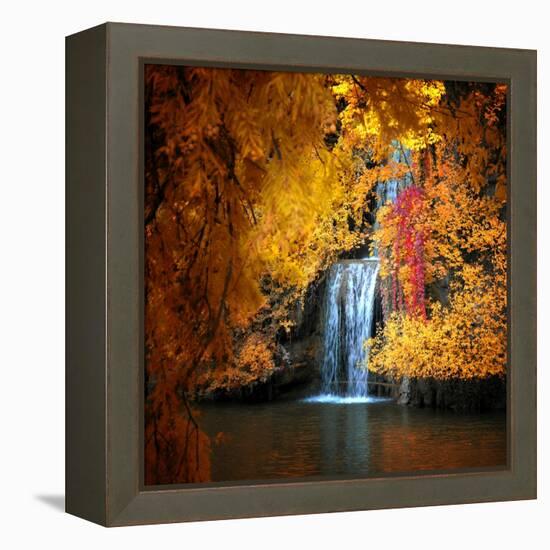 Nature's Gold-Philippe Sainte-Laudy-Framed Premier Image Canvas