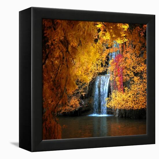 Nature's Gold-Philippe Sainte-Laudy-Framed Premier Image Canvas