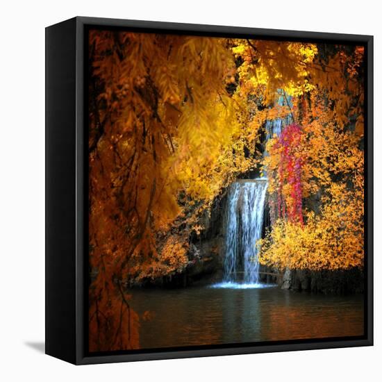 Nature's Gold-Philippe Sainte-Laudy-Framed Premier Image Canvas
