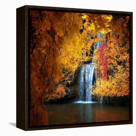 Nature's Gold-Philippe Sainte-Laudy-Framed Premier Image Canvas