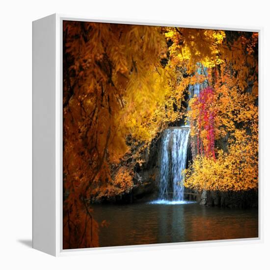 Nature's Gold-Philippe Sainte-Laudy-Framed Premier Image Canvas