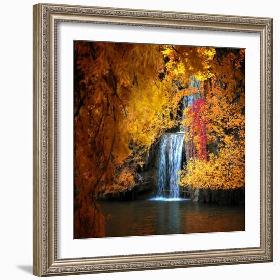 Nature's Gold-Philippe Sainte-Laudy-Framed Premium Photographic Print