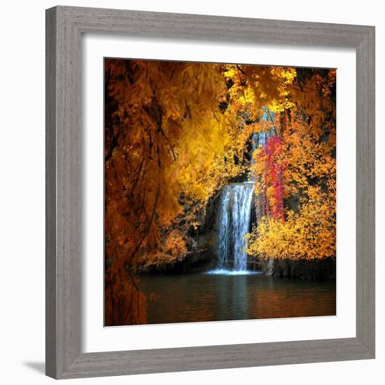 Nature's Gold-Philippe Sainte-Laudy-Framed Premium Photographic Print