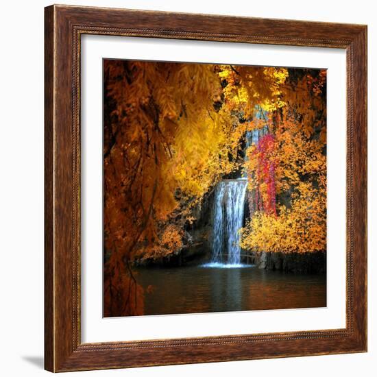 Nature's Gold-Philippe Sainte-Laudy-Framed Premium Photographic Print