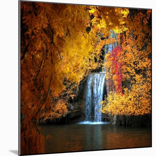 Nature's Gold-Philippe Sainte-Laudy-Mounted Premium Photographic Print