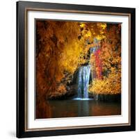 Nature's Gold-Philippe Sainte-Laudy-Framed Photographic Print