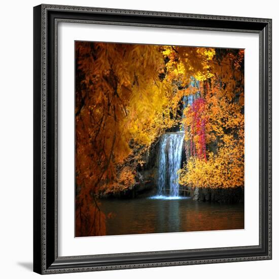 Nature's Gold-Philippe Sainte-Laudy-Framed Photographic Print