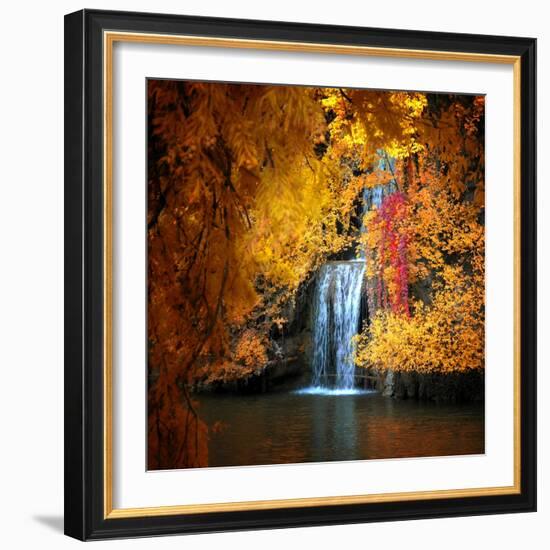 Nature's Gold-Philippe Sainte-Laudy-Framed Photographic Print