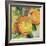 Nature's Gold-Elizabeth St. Hilaire-Framed Art Print