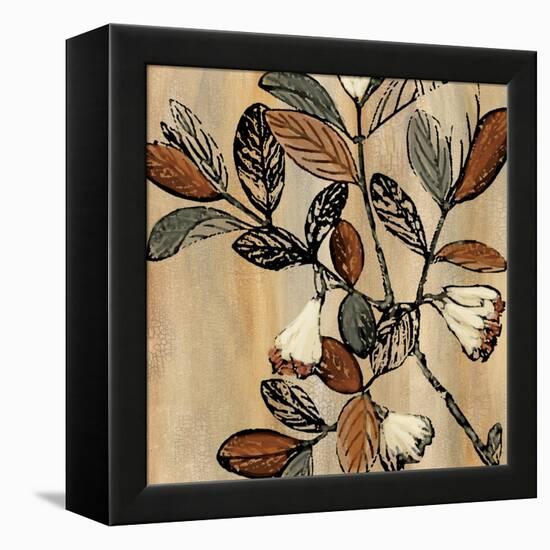 Nature's Graphic I-Michael Brey-Framed Stretched Canvas