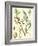 Nature's Harvest II-Vision Studio-Framed Art Print