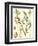 Nature's Harvest II-Vision Studio-Framed Art Print