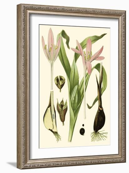 Nature's Harvest III-Vision Studio-Framed Art Print