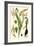 Nature's Harvest III-Vision Studio-Framed Art Print