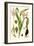 Nature's Harvest III-Vision Studio-Framed Art Print