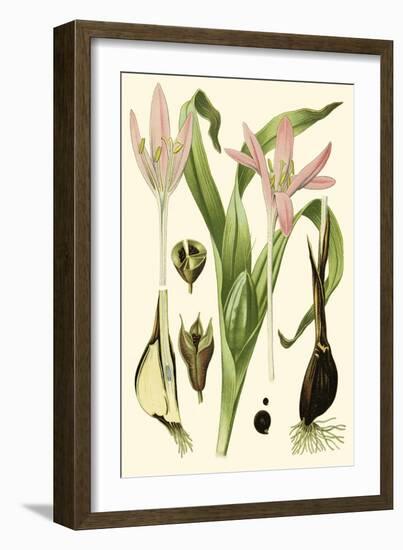 Nature's Harvest III-Vision Studio-Framed Art Print