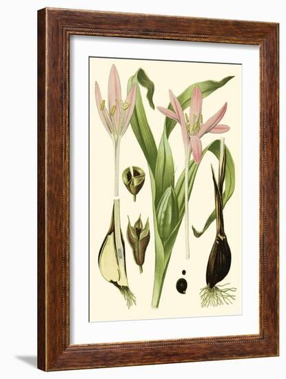 Nature's Harvest III-Vision Studio-Framed Art Print