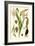 Nature's Harvest III-Vision Studio-Framed Art Print