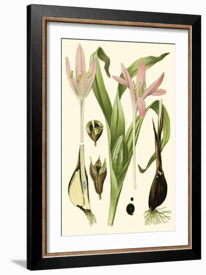 Nature's Harvest III-Vision Studio-Framed Art Print