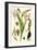 Nature's Harvest III-Vision Studio-Framed Art Print