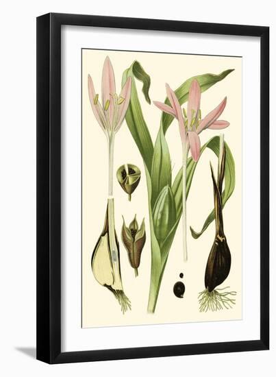 Nature's Harvest III-Vision Studio-Framed Art Print