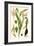 Nature's Harvest III-Vision Studio-Framed Art Print