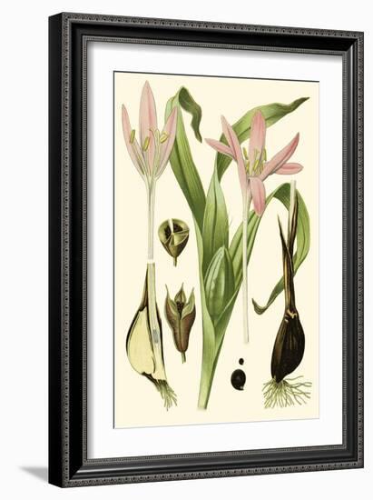 Nature's Harvest III-Vision Studio-Framed Art Print